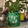 Chậu trồng cây Voronoi (Voronoi planter) - Thumbnail 3