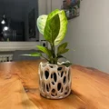 Chậu trồng cây Voronoi (Voronoi planter) - Thumbnail 4