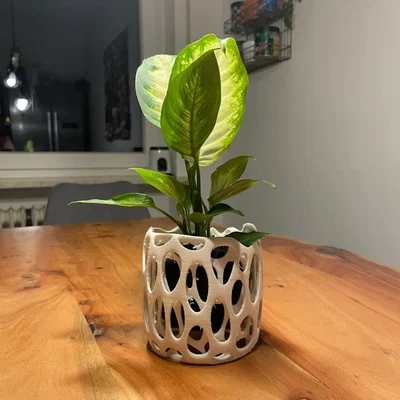 Chậu trồng cây Voronoi (Voronoi planter)