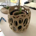 Chậu trồng cây Voronoi (Voronoi planter) - Thumbnail 6