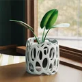 Chậu trồng cây Voronoi (Voronoi planter) - Thumbnail 7