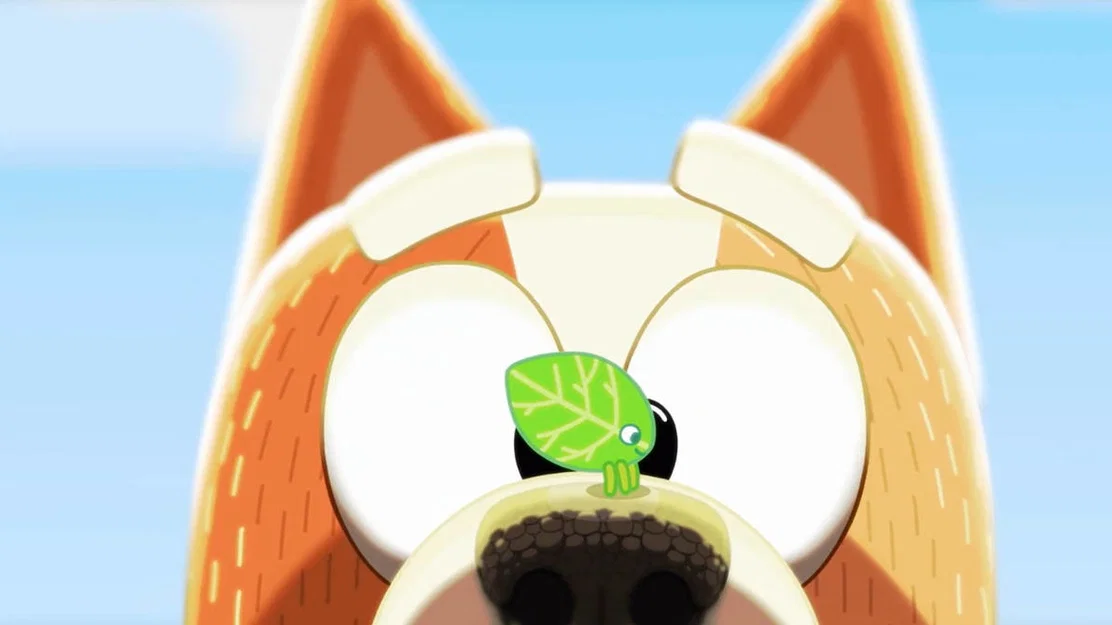 Bluey Walking Leaf (Bọ lá đi bộ) - Image 4