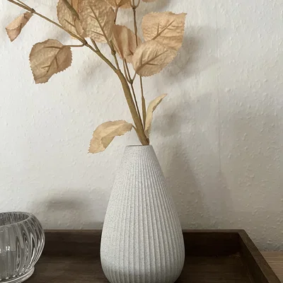 Bình hoa trang trí (Decorative vase)