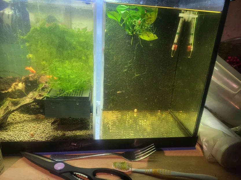 Bẫy trứng cá CPD (Celestial Pearl Danio) in 3D chuyên dụng cho bể thủy sinh - Image 2