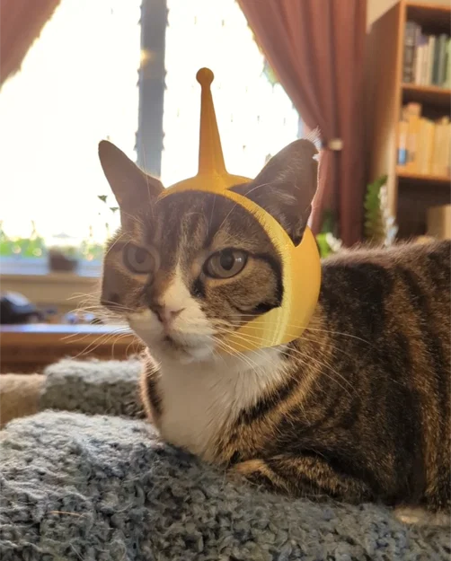 Mũ Phi Hành Gia Cho Mèo (Cat Space Helmet) - Image 2