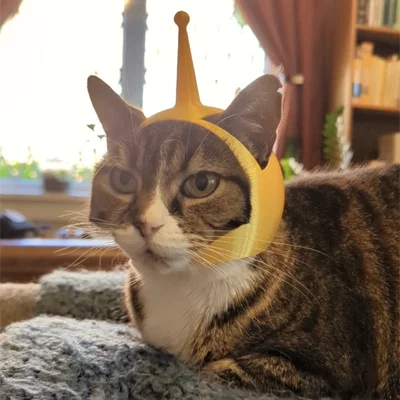 Mũ Phi Hành Gia Cho Mèo (Cat Space Helmet)