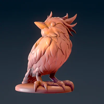 Chim (Bird)