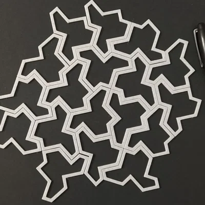 Aperiodic Monotile