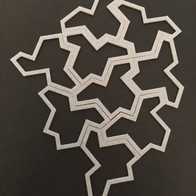Aperiodic Monotile