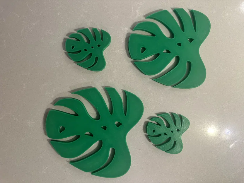 Miếng Lót Ly Hình Lá Trầu Bà Monstera (Monstera Coasters) Đẹp Mắt - Image 1
