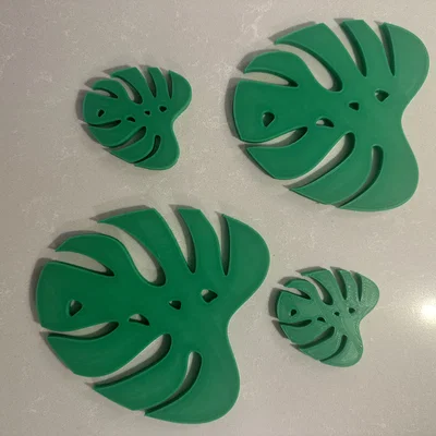 Miếng Lót Ly Hình Lá Trầu Bà Monstera (Monstera Coasters) Đẹp Mắt
