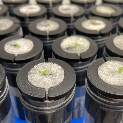 Hệ thủy canh ống Falcon Falcoponics Lab Tube Hydroponics System