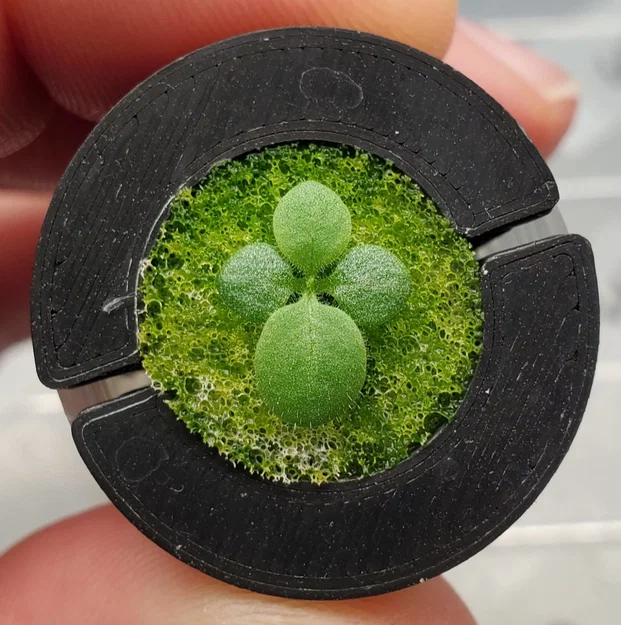 Hệ thủy canh ống Falcon Falcoponics Lab Tube Hydroponics System - Image 3