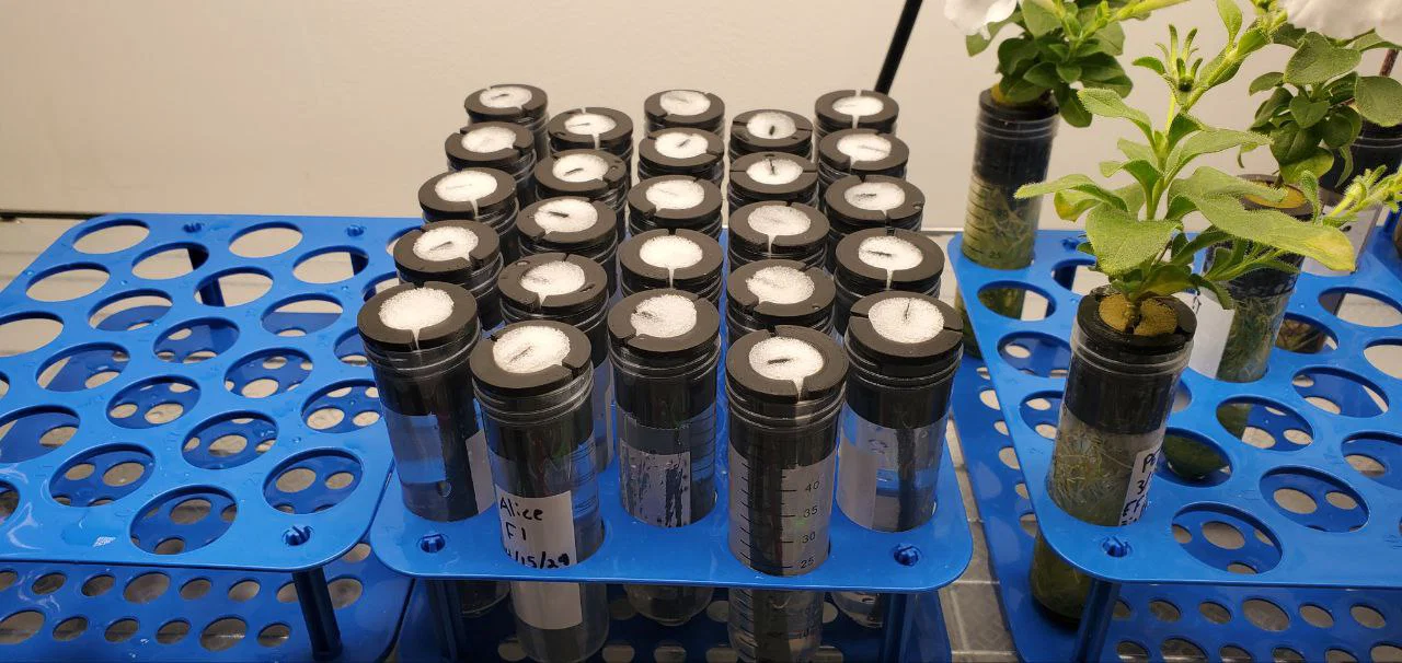 Hệ thủy canh ống Falcon Falcoponics Lab Tube Hydroponics System - Image 6