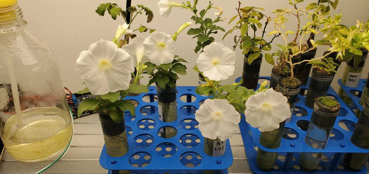 Hệ thủy canh ống Falcon Falcoponics Lab Tube Hydroponics System - Image 7