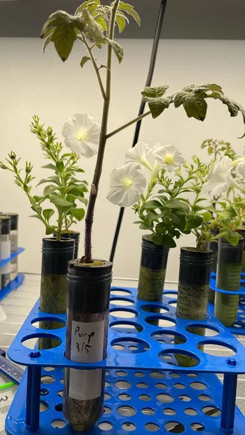 Hệ thủy canh ống Falcon Falcoponics Lab Tube Hydroponics System - Image 8