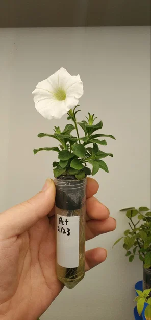 Hệ thủy canh ống Falcon Falcoponics Lab Tube Hydroponics System - Image 9