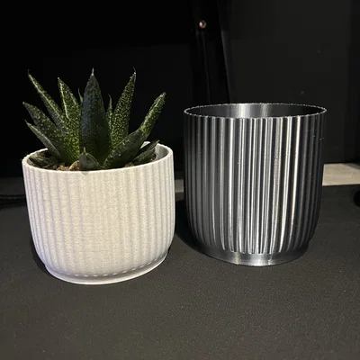 Chậu Hoa (Flower Pot)