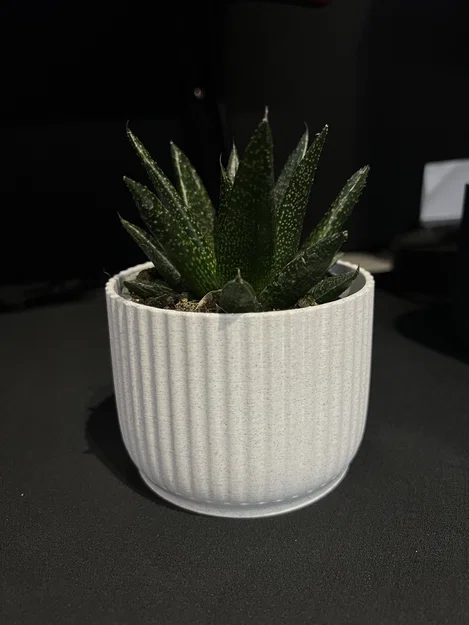 Chậu Hoa (Flower Pot) - Image 2