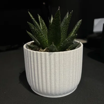 Chậu Hoa (Flower Pot)
