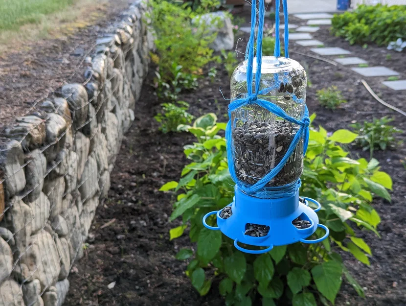 Nắp Máng Ăn Cho Chim Cho Hũ Mason (Mason Jar Bird Feeder Lid) - Image 1