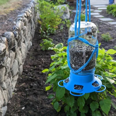 Nắp Máng Ăn Cho Chim Cho Hũ Mason (Mason Jar Bird Feeder Lid)