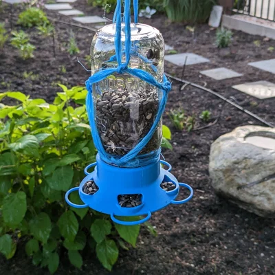 Nắp Máng Ăn Cho Chim Cho Hũ Mason (Mason Jar Bird Feeder Lid)