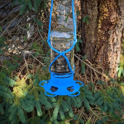 Nắp Máng Ăn Cho Chim Cho Hũ Mason (Mason Jar Bird Feeder Lid)