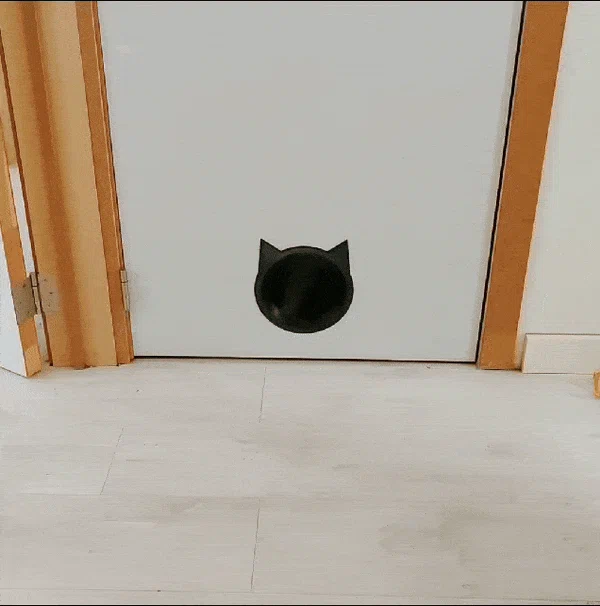 Cửa mèo dạng tròn (Cat door / Cat flap) không cần ốc - Image 1