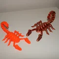 Bọ Cạp Khớp Nối (Articulated Scorpion) - Thumbnail 5