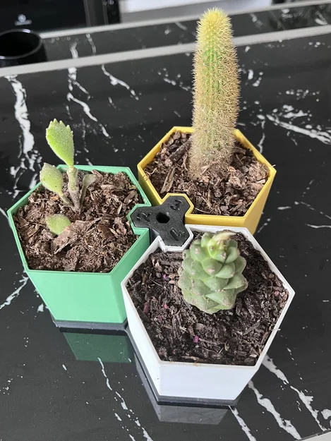 Bộ chậu cây lục giác (Hexagonal Pots) in 3D ghép nối thông minh - Image 1