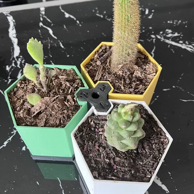 Bộ chậu cây lục giác (Hexagonal Pots) in 3D ghép nối thông minh