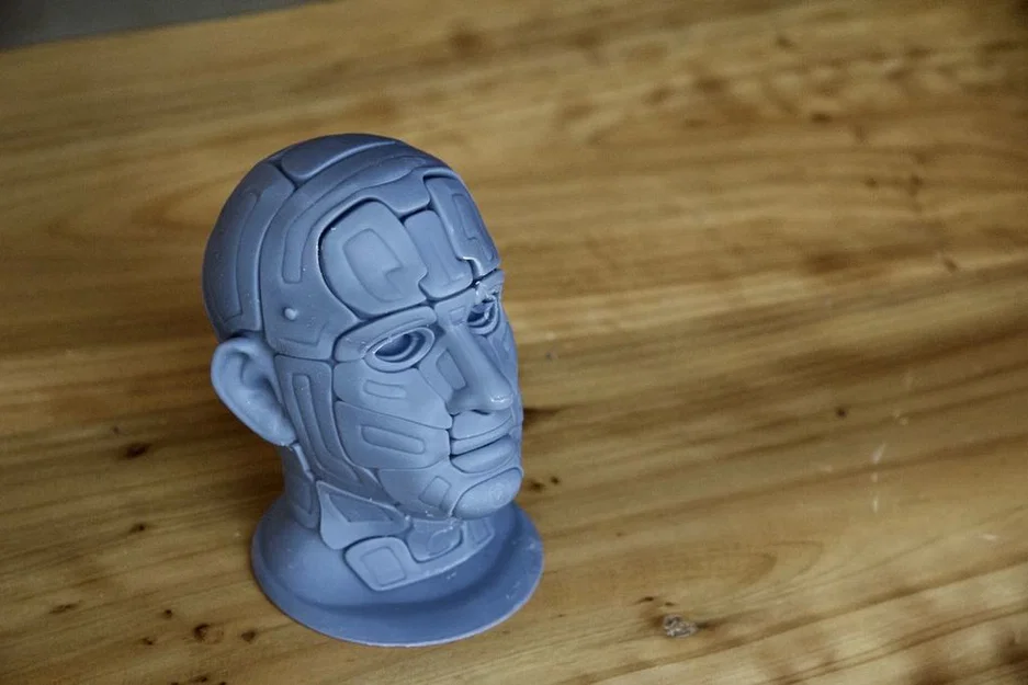 Đầu Cyborg - Image 2