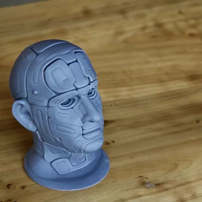 Đầu Cyborg