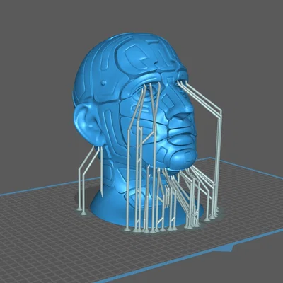 Đầu Cyborg