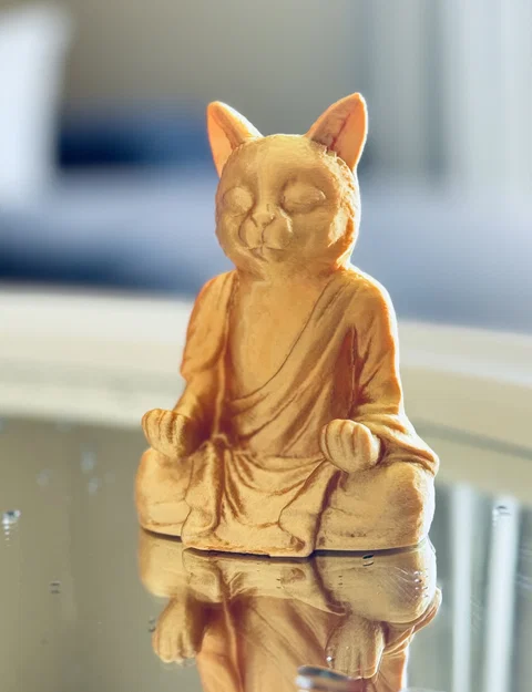 Mèo/Mèo Con Tu Sĩ (Cat/Kitten Monk) - Image 1