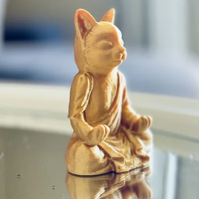 Mèo/Mèo Con Tu Sĩ (Cat/Kitten Monk)