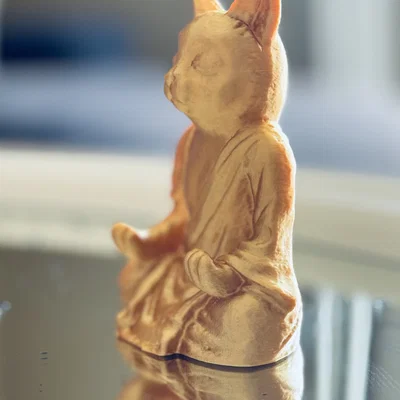 Mèo/Mèo Con Tu Sĩ (Cat/Kitten Monk)