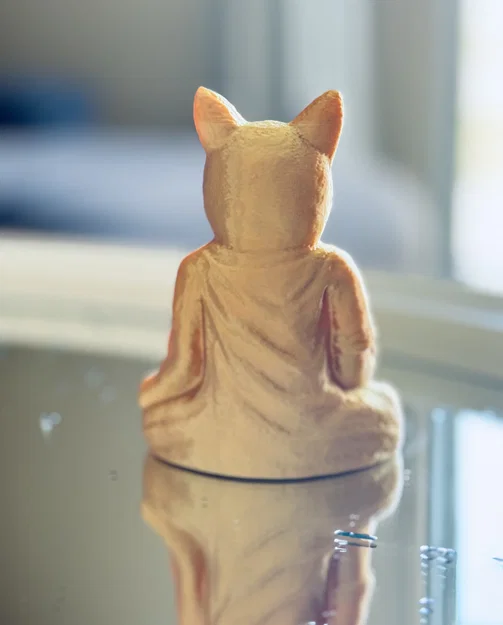 Mèo/Mèo Con Tu Sĩ (Cat/Kitten Monk) - Image 4