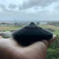 Núi Phú Sĩ (Mt. Fuji / Fujiyama - 富士山) - Nhật Bản - Thumbnail 6
