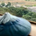 Núi Phú Sĩ (Mt. Fuji / Fujiyama - 富士山) - Nhật Bản - Thumbnail 8