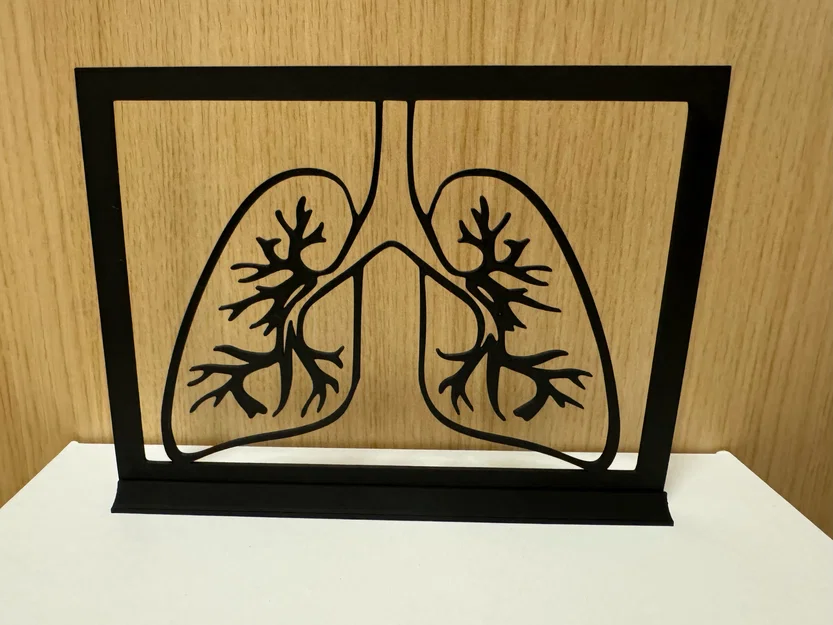 Mô hình trang trí 3D hình phổi (Lung) đầy nghệ thuật - Image 1