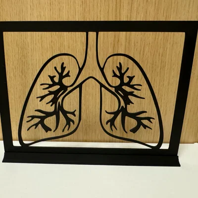 Mô hình trang trí 3D hình phổi (Lung) đầy nghệ thuật