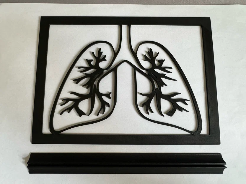 Mô hình trang trí 3D hình phổi (Lung) đầy nghệ thuật - Image 2