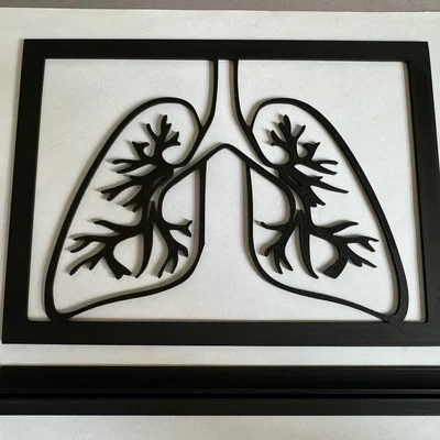 Mô hình trang trí 3D hình phổi (Lung) đầy nghệ thuật