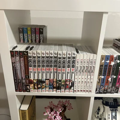 Kệ nâng manga cho Kallax (Manga Riser for Kallax)