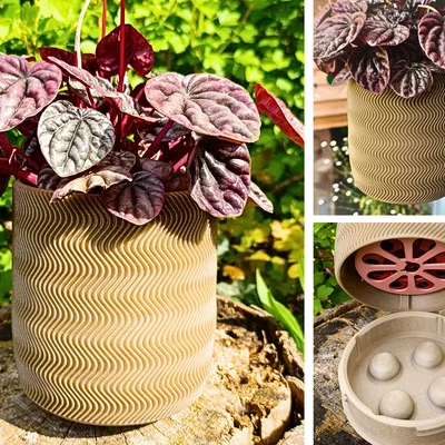 Wall Planter 1.5 - Chậu treo tường 1.5