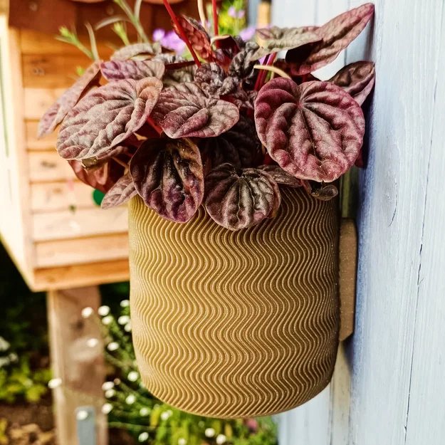 Wall Planter 1.5 - Chậu treo tường 1.5 - Image 4