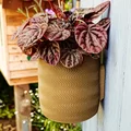 Wall Planter 1.5 - Chậu treo tường 1.5 - Thumbnail 4