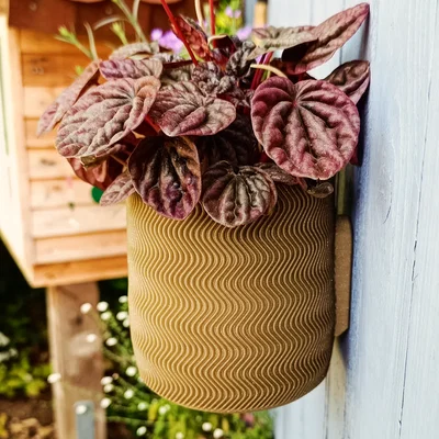 Wall Planter 1.5 - Chậu treo tường 1.5